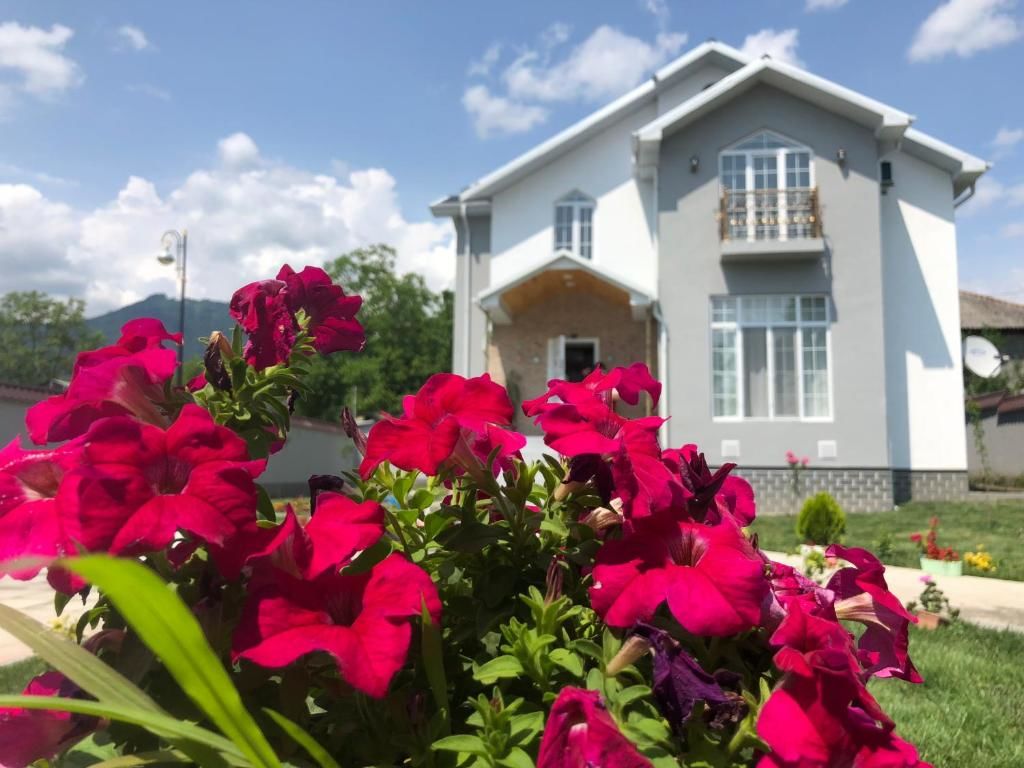 Виллы Qafqaz Paradise Villa Габала-99